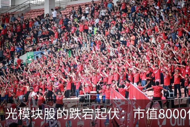 光模块股的跌宕起伏：市值8000亿的梦幻泡影