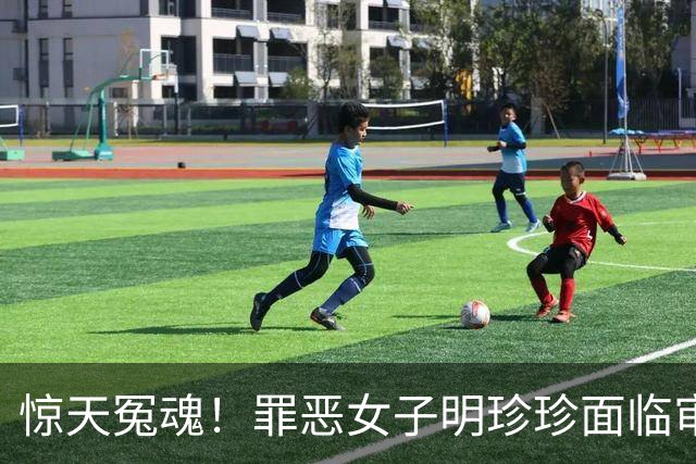 惊天冤魂！罪恶女子明珍珍面临审判，缅北双煞还会继续躲藏多久？